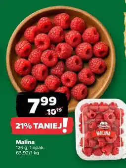 Netto Malina oferta