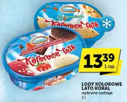 Euro Sklep Lody kolorowe Lato Koral wybrane rodzaje oferta