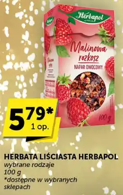 ABC Herbata liściasta Herbapol wybrane rodzaje oferta