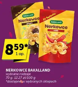 Groszek Nerkowce Bakalland wybrane rodzaje oferta