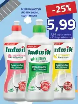 Hildebrandt Płyn do naczyń ludwik oferta