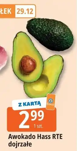 E.Leclerc Awokado Hass RTE dojrzałe oferta