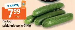 E.Leclerc Ogórki szklarniowe krótkie oferta