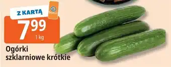 Ogórki szklarniowe krótkie