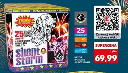 Kaufland HESTIA Wyrzutnia SILENT STORM oferta