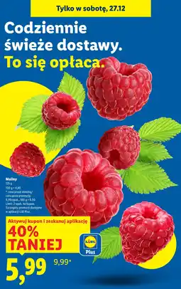 Lidl Maliny oferta