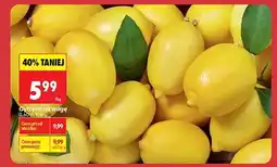 Biedronka Napój bezalkoholowy oranżada Hellena, 1,25 l, czerwona oferta