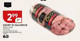 Chata Polska Ozory w galarecie Haga oferta