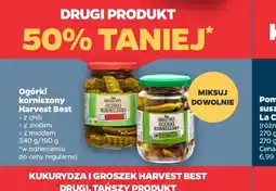 Netto Harvest Best Ogórki korniszone oferta