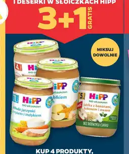 Netto Hipp obiadki, zupki i deserki oferta