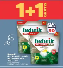 Netto Ludwik Maxx Power Plus oferta