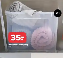 Netto Pojemnik z pokrywką oferta