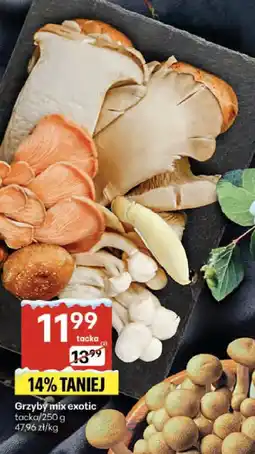 Delikatesy Centrum Grzyby mix exotic oferta