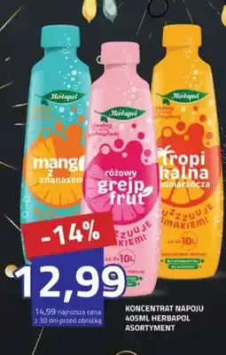 Hildebrandt Koncentrat napoju herbapol asortyment oferta