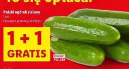 Lidl Ogórek zielony oferta