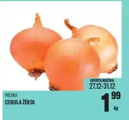 TomiMarkt Cebula żółta oferta