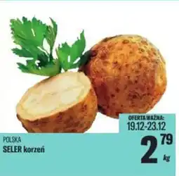 TomiMarkt Seler korzeń oferta