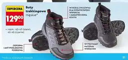 Biedronka Buty trekkingowe męskie Hi Mountain oferta
