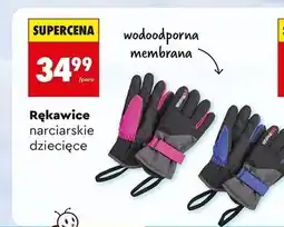 Biedronka Rękawice narciarskie dziecięce oferta