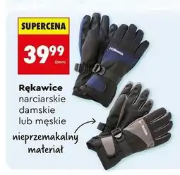 Biedronka Rękawice narciarskie damskie lub męskie oferta