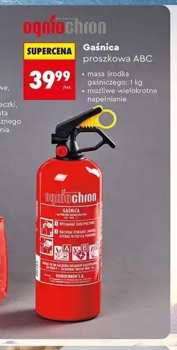 Biedronka Gaśnica proszkowa ABC oferta