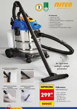 Biedronka Odkurzacz warsztatowy NITEO oferta