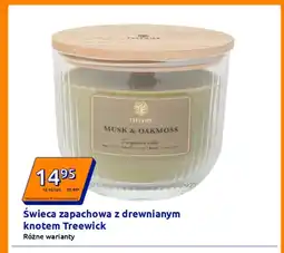 Action Świeca zapachowa z drewnianym knotem Treewick oferta