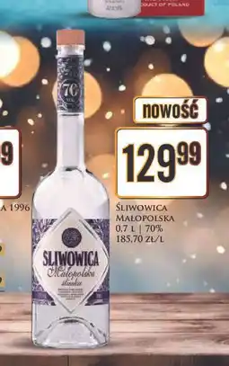 Dino Śliwowica Małopolska oferta