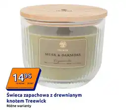 Action Treewick Swieca zapachowa oferta