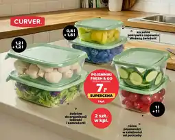 Netto Curver pojemniki fresh & go oferta