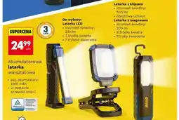 Biedronka Akumulatorowa latarka warsztatowa oferta