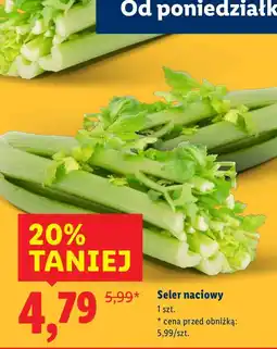 Lidl Seler naciowy oferta
