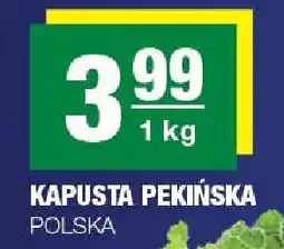 Spar Kapusta pekińska Polska oferta