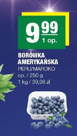 Spar Borówka amerykańska Peru/Maroko oferta