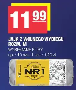 Spar Jaja z wolnego wybiegu rozm. M wybrane kury oferta