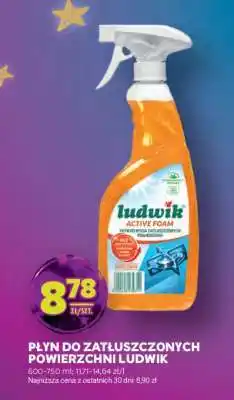 Stokrotka Market Płyn do Zatłuszczonych Powierzchni Ludwik oferta