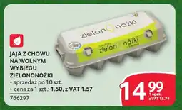 Selgros Jaja z chowu na wolnym wybiegu zielononóżki oferta