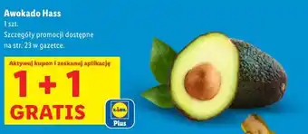 Lidl Awokado Hass oferta