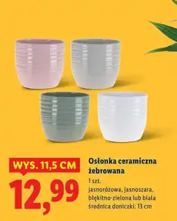 Lidl Osłonka ceramiczna żebrowana oferta