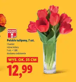 Lidl Polskie tulipany, 7 szt oferta
