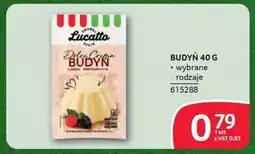 Selgros Budyń oferta
