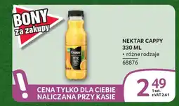 Selgros Nektar cappy oferta