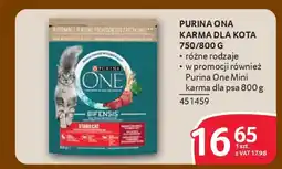 Selgros Purina ona karma dla kota oferta