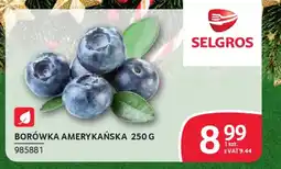 Selgros Borówka amerykańska oferta