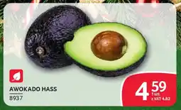 Selgros Awokado hass oferta
