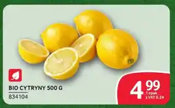 Selgros Bio cytryny oferta