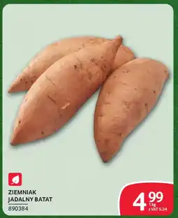 Selgros Ziemniak jadalny batat oferta