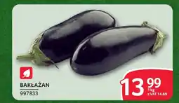 Selgros Bakłażan oferta