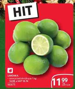 Selgros Limonka oferta