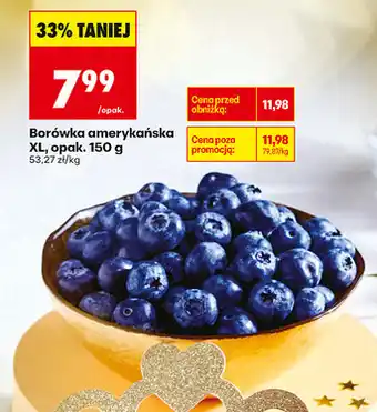 Biedronka Borówka amerykańska XL, opak. 150 g oferta